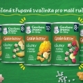 GERBER Organic chrumky s mrkvou a pomarančom 35 g​