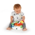 BABY EINSTEIN Chodítko Sky Explorers Walker™  6m+ do 12 kg