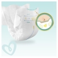 PAMPERS Premium Care Plienky jednorazové 6 (13 kg+) 38 ks