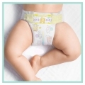 PAMPERS Premium Care Plienky jednorazové 5 (11-16 kg) 88 ks - MEGA PACK