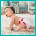 PAMPERS Premium Care Pants Nohavičky plienkové jednorazové 6 (16 kg+) 31 ks