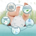 PAMPERS Plienky jednorázové Harmonie Baby veľ. 3, 186 ks, 6kg-10kg