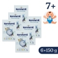 6x KENDAMIL Kaša mliečna s lesným ovocím (150 g), 7m+