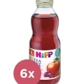 6x HiPP BIO Šípkový čaj so šťavou z červených plodov 500 ml