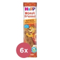 6x HiPP BIO Müsli tyčinka Jablko-Broskyňa 20 g