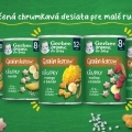 GERBER Organic chrumky s mrkvou a pomarančom 35 g, 10m+